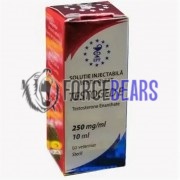 Testoged-E 250mg (Тестогед), Golden Dragon