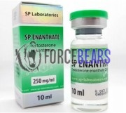SP Enanthate 250mg (SP Энантат), SP Labs