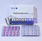 Methandienone 20mg (Метандиенон), ZPHC