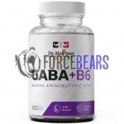 GABA [ГАБА] (500 мг x 90 капс), Dr. Hoffman
