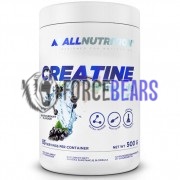 Creatine Muscle Max (500 гр: 83 порций), AllNutrition