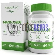 Niacinamide [Vitamin B3 x PP] (60 шт по 60 мг), NaturalSupp