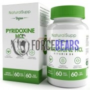 Pyridoxine HCL [Vitamin B6] (60 шт по 6 мг), NaturalSupp
