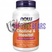 Choline & Inositol (100 шт по 500 мг), NOW Foods
